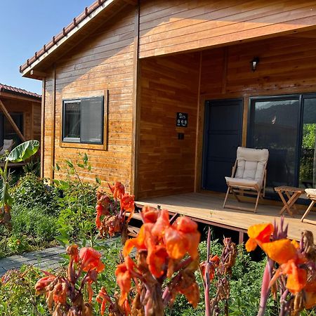 Lemon Garden Lodge Çıralı Extérieur photo