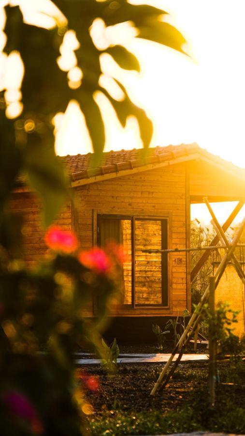 Lemon Garden Lodge Çıralı Extérieur photo