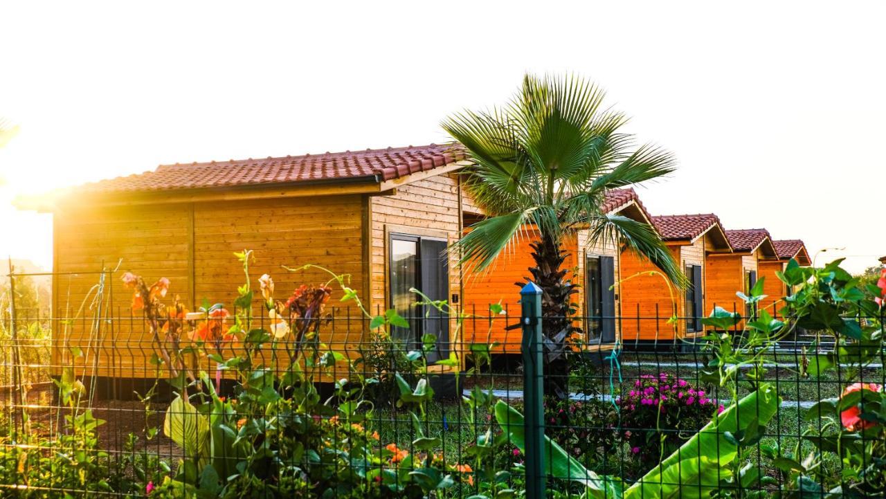 Lemon Garden Lodge Çıralı Extérieur photo