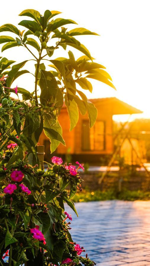 Lemon Garden Lodge Çıralı Extérieur photo