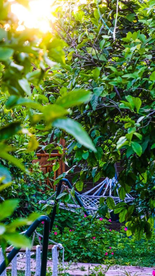 Lemon Garden Lodge Çıralı Extérieur photo