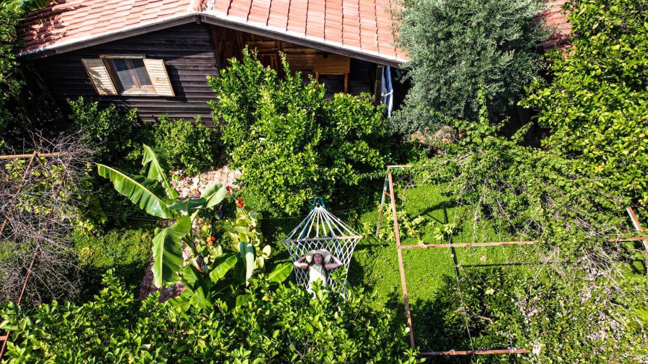 Lemon Garden Lodge Çıralı Extérieur photo