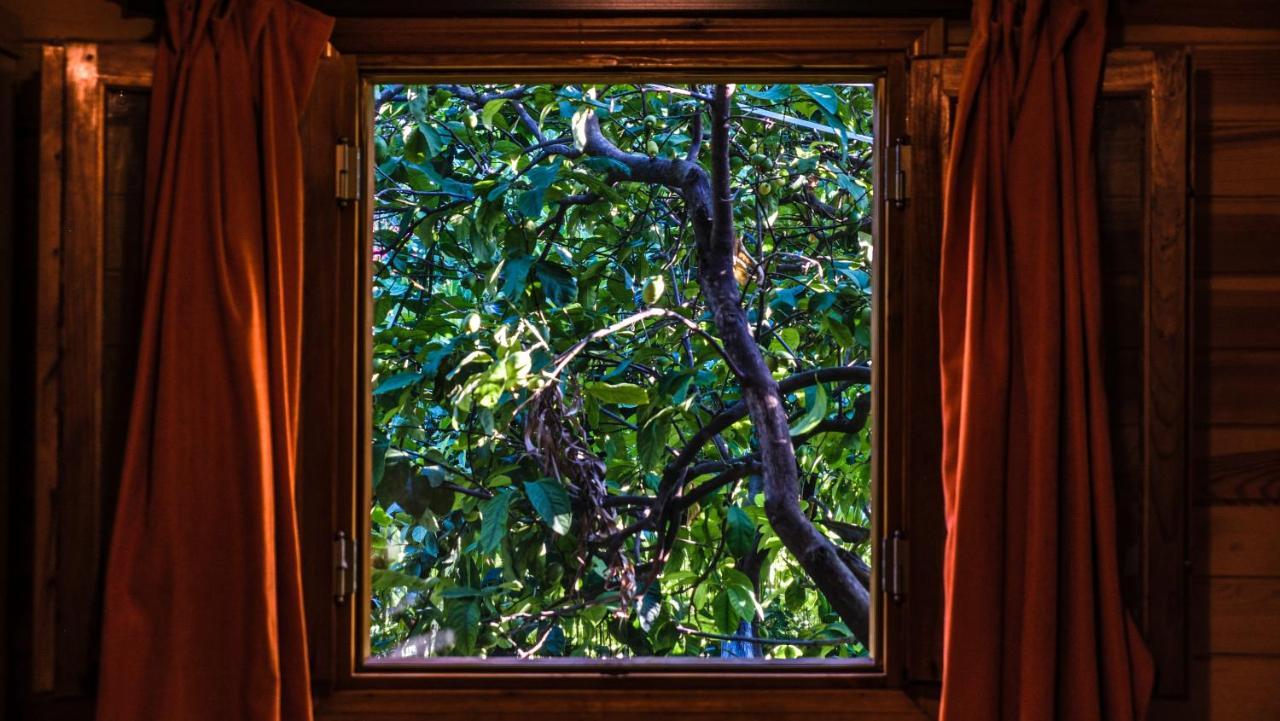 Lemon Garden Lodge Çıralı Extérieur photo