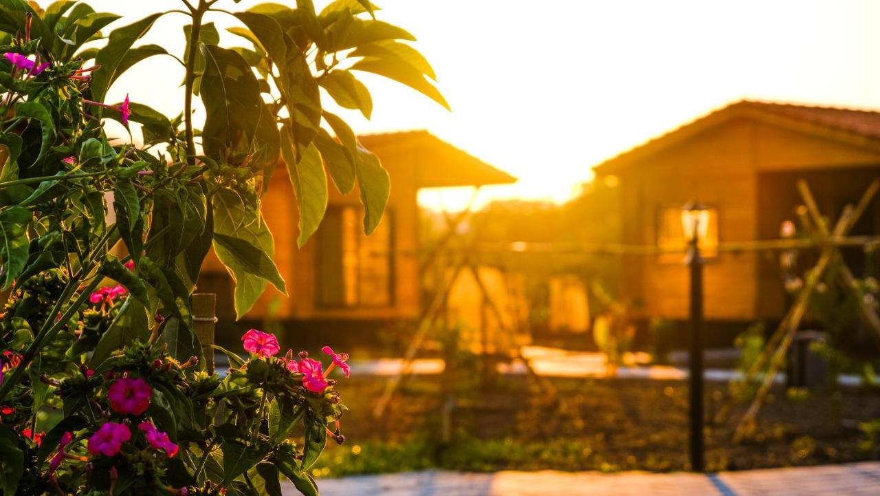 Lemon Garden Lodge Çıralı Extérieur photo