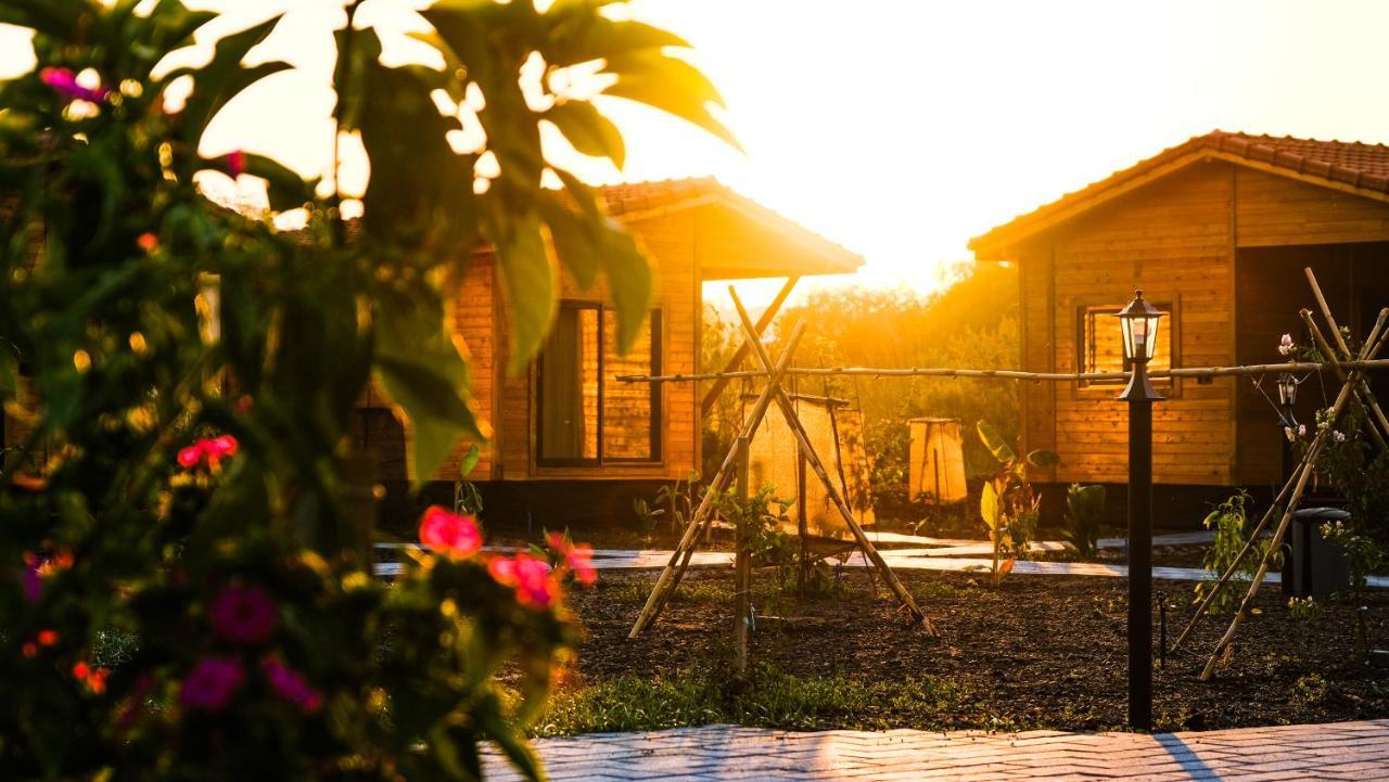 Lemon Garden Lodge Çıralı Extérieur photo