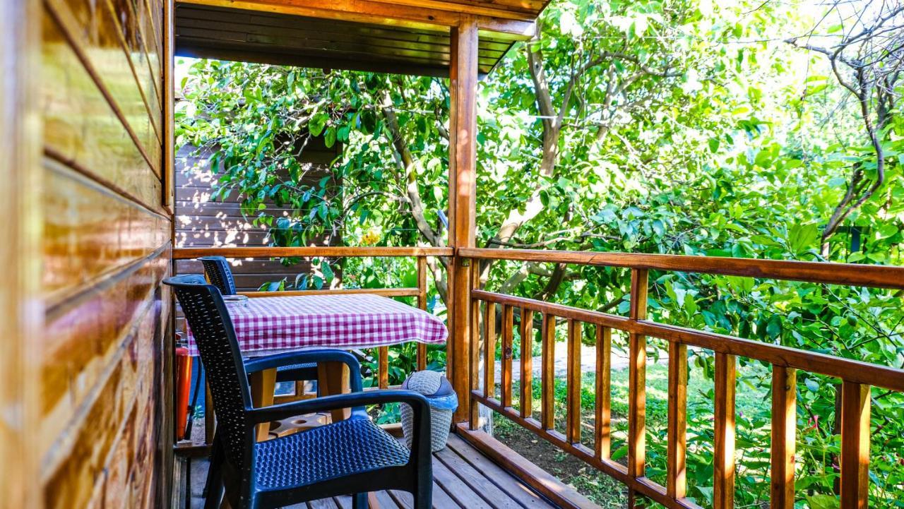 Lemon Garden Lodge Çıralı Extérieur photo