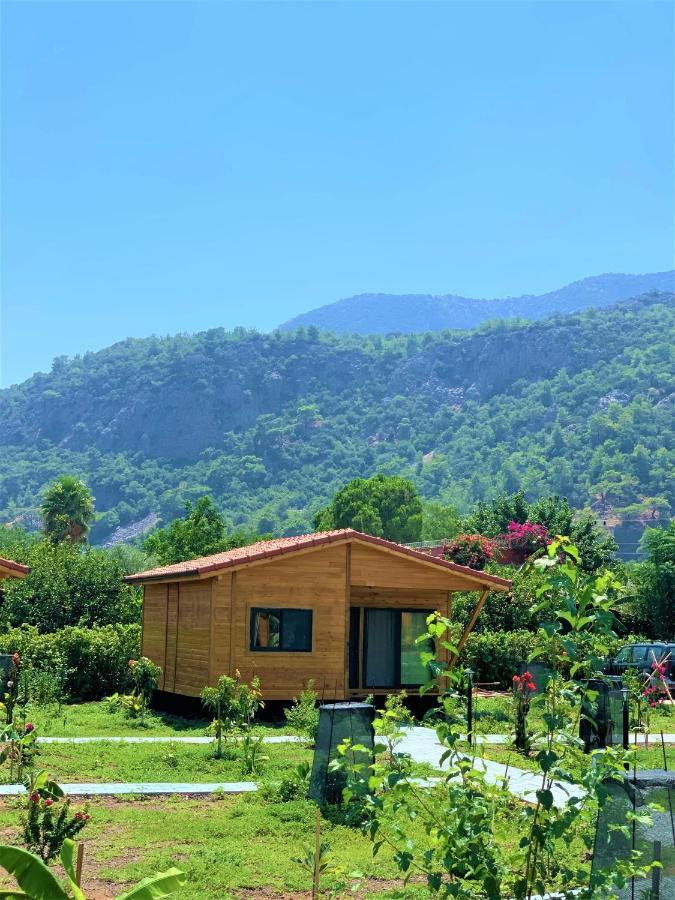 Lemon Garden Lodge Çıralı Extérieur photo