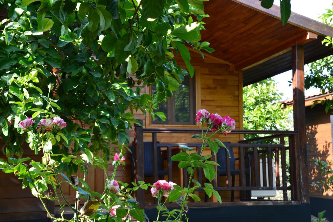 Lemon Garden Lodge Çıralı Extérieur photo