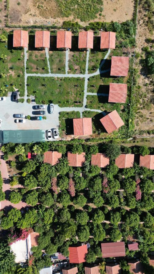 Lemon Garden Lodge Çıralı Extérieur photo
