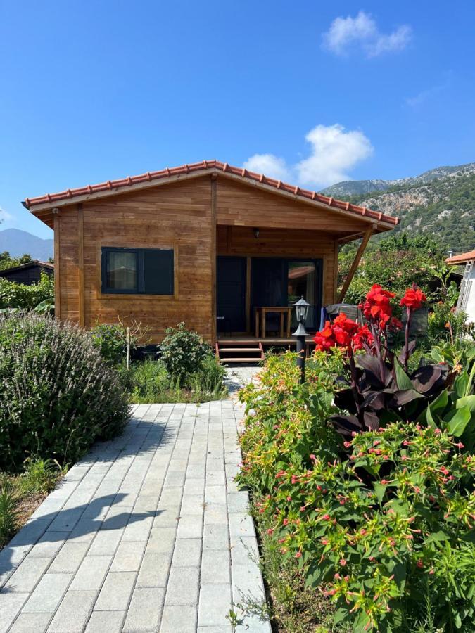Lemon Garden Lodge Çıralı Extérieur photo