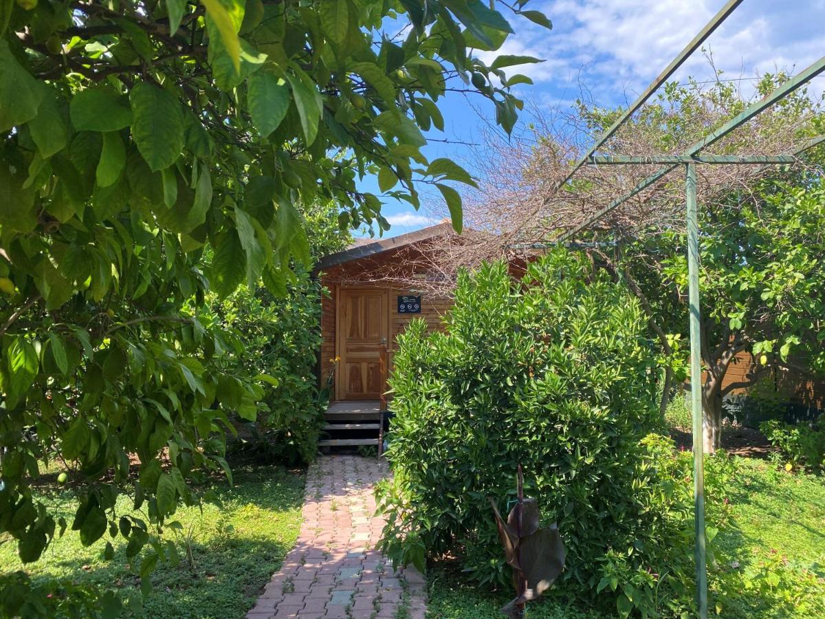 Lemon Garden Lodge Çıralı Extérieur photo