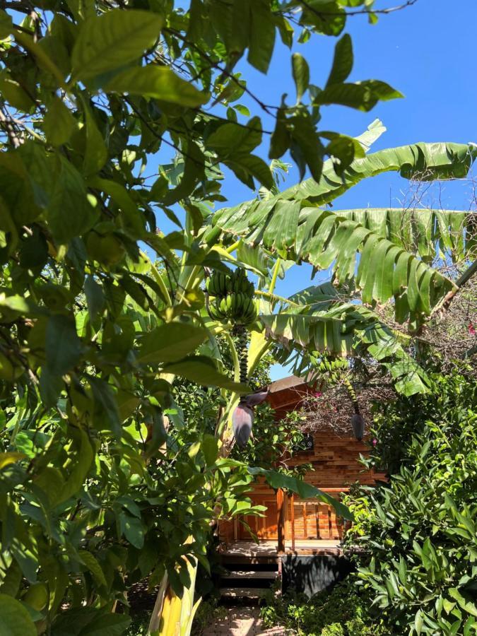 Lemon Garden Lodge Çıralı Extérieur photo