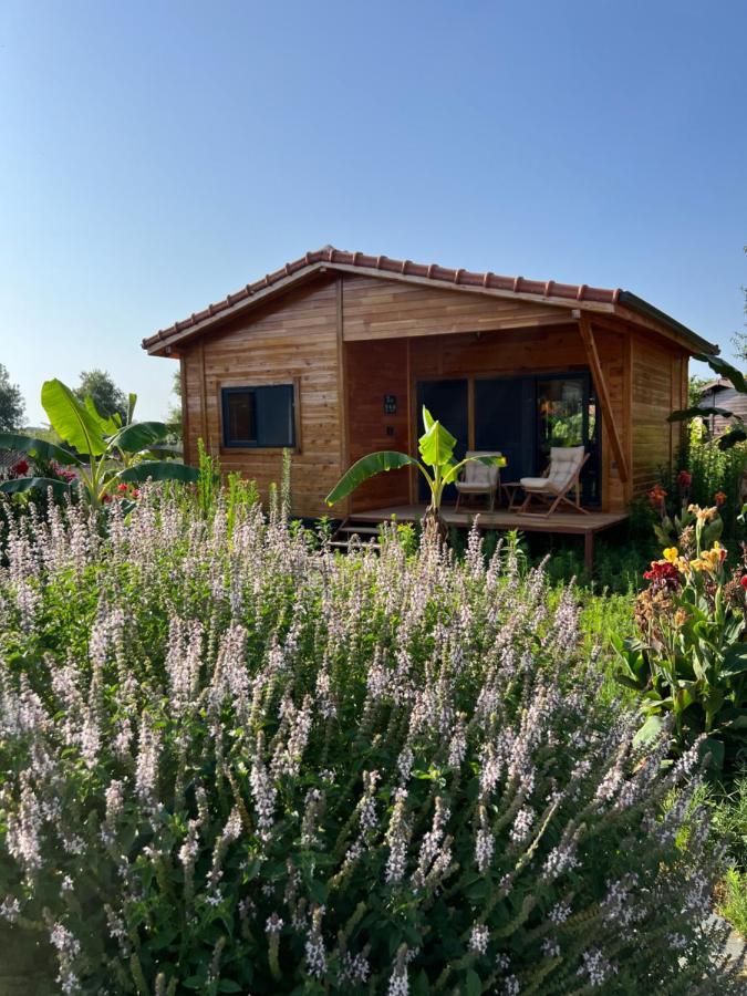 Lemon Garden Lodge Çıralı Extérieur photo