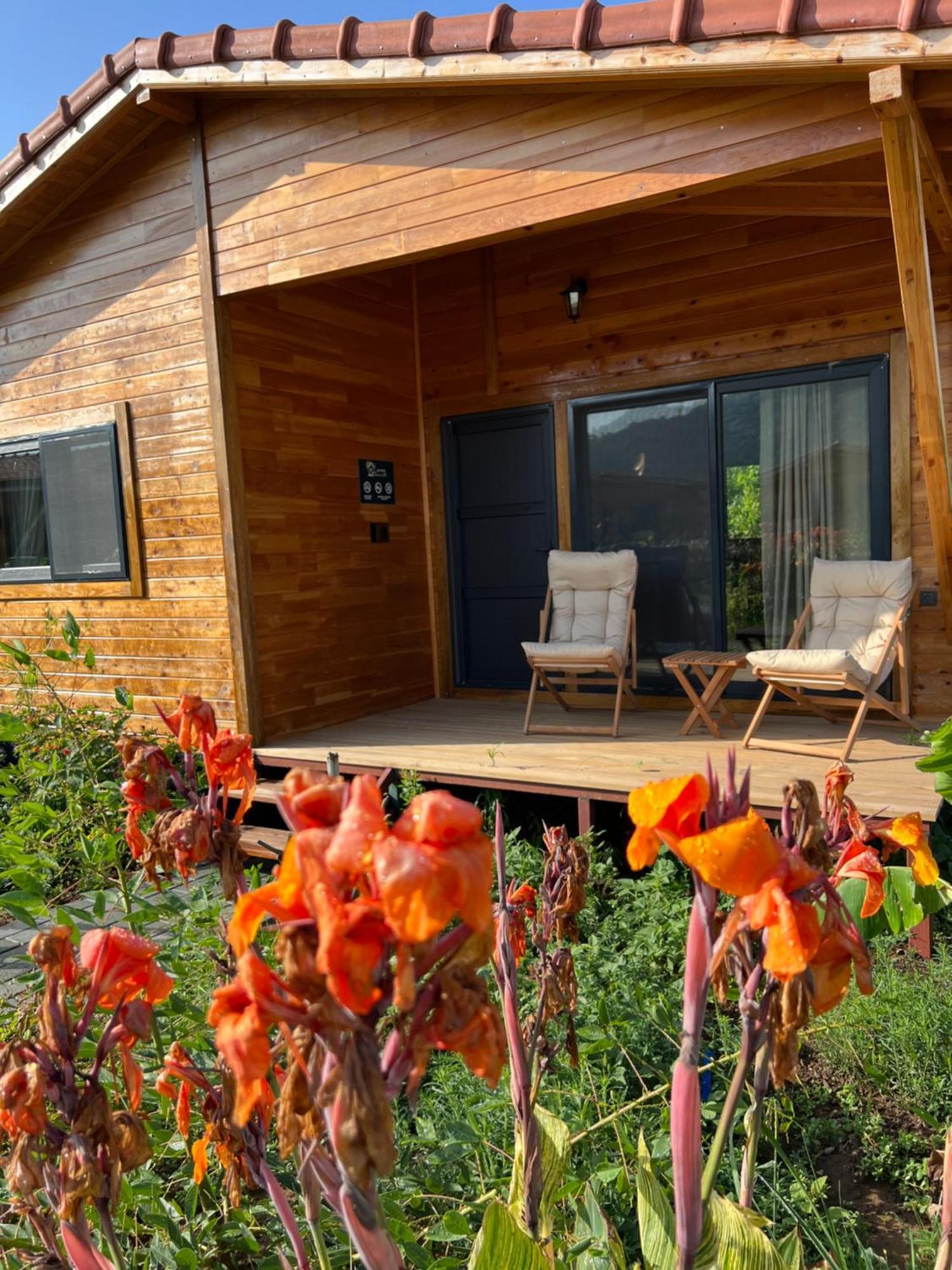 Lemon Garden Lodge Çıralı Extérieur photo