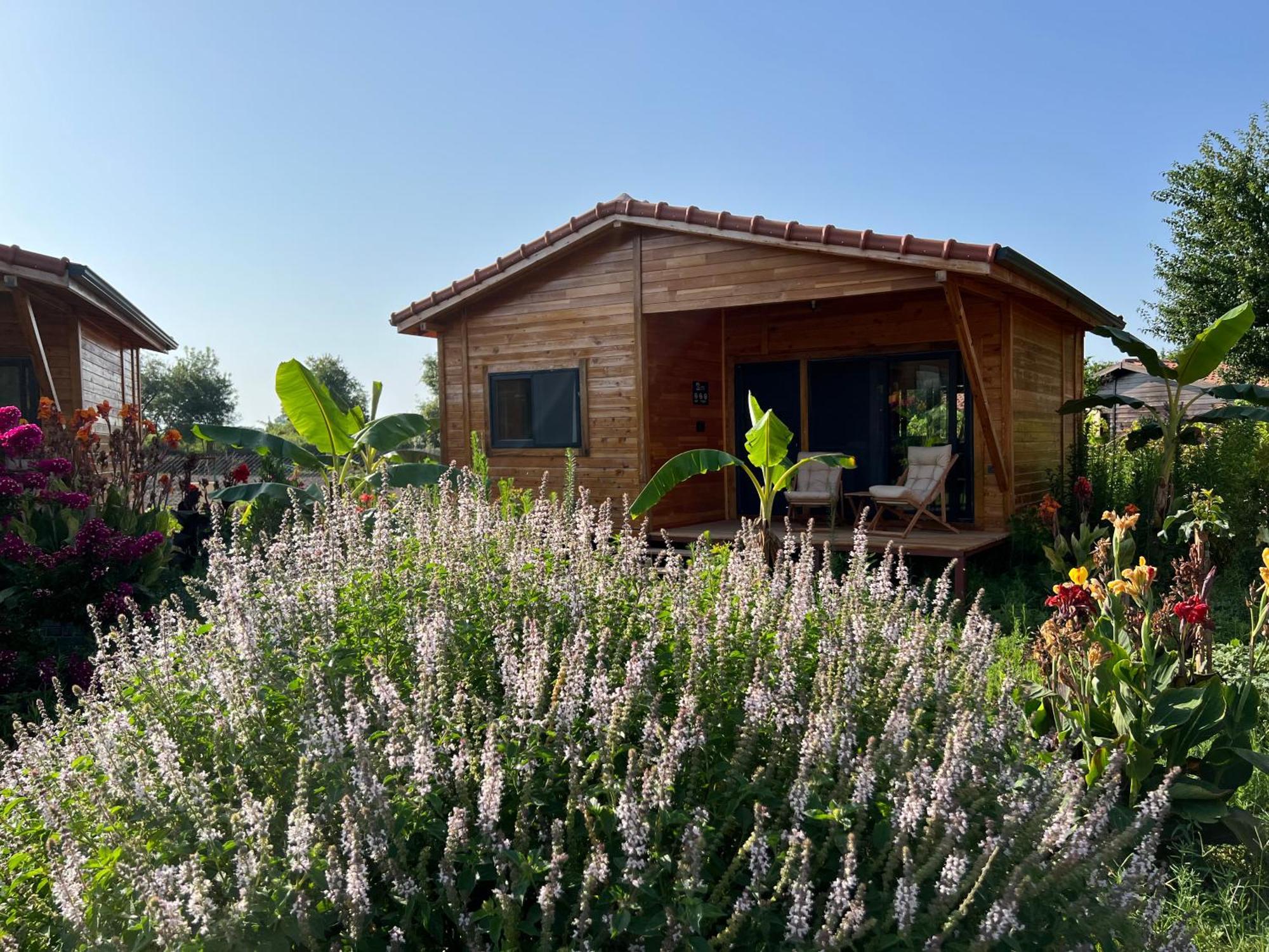 Lemon Garden Lodge Çıralı Extérieur photo