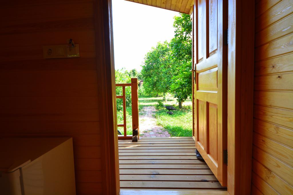 Lemon Garden Lodge Çıralı Extérieur photo
