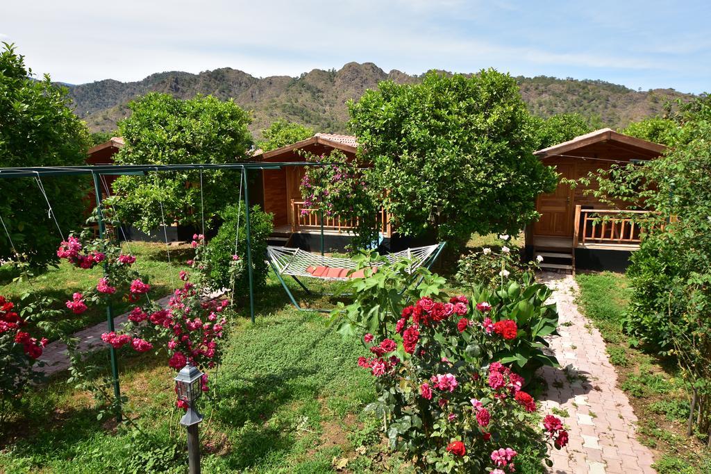 Lemon Garden Lodge Çıralı Extérieur photo