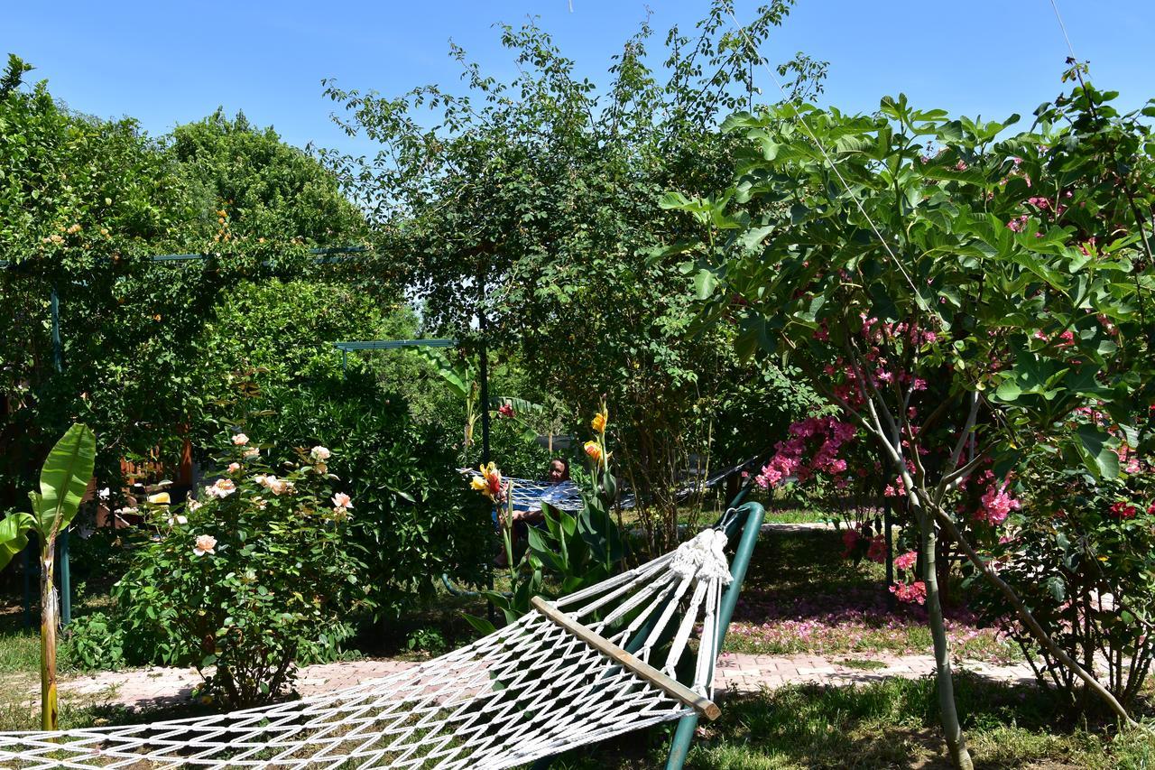Lemon Garden Lodge Çıralı Extérieur photo